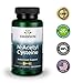 Swanson NAC - N-Acetyl Cysteine - Supplement 600 mg 100 Capsules (3 Pack)