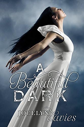 A Beautiful Dark by Jocelyn Davies (2011-09-27) Hardcover
