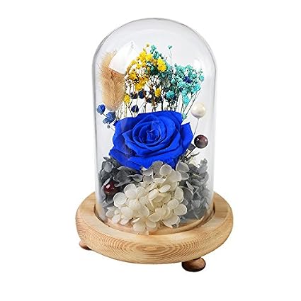 Forusky Beauty And The Beast Clic Fresh Fleur Verre Immortel