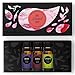 Be Blessed Essential Oil Set- 100% Pure Therapeutic Grade Aromatherapy Oils- 3/ 10 ml of Hope, Love, Uplift by Edens Garden