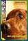 Livro Singles 107 (Singles K)