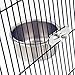 Bird Parrot Feeding Cups with Clamp Holder Stainless Steel Coop Cup Food Water Bowls Dish Feeder for Cockatiel Conure Budgies Parakeet Parrot Macaw Small Animal Chinchilla hummingbird Ferret Catthumb 4