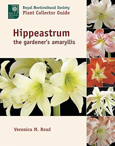 Download Hippeastrum: The Gardener's Amaryllis PDF