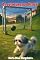 Livro AS AVENTURAS DA PITICA