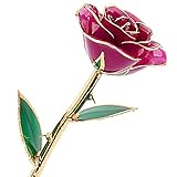 ZJchao Purple Rose Flower Dipped in 24k Gold and Last Forever, Love Gift to Her