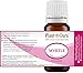 Myrtle Essential Oil 10 ml. 100% Pure Undiluted Therapeutic Grade.