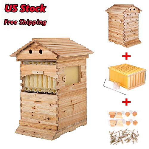 Buy Beekeeping Wooden House Beehive Boxes Max 7Pcs Auto Flow Beehive