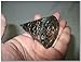 Jet Exquisite Black Touramline Orgone Antenna Cone Chakra Crystal Gemstones Agate Onyx Christmas Divine Spiritual Metaphysical Marvelous Brilliant Energetic Positive