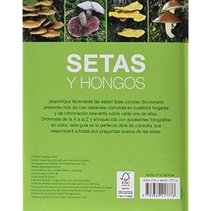 Setas y hongos