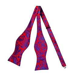 Alizeal Handmade Mens Paisley Self Tied Bow Tie and