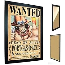 Quadro Decorativo Portgas One Piece Poster Wanted | Amazon.com.br