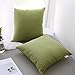 Kevin Textile Decor Velvet Solid Striped Cushion Cover Sham Handmand Decor Pillow Cover Soft Square Throw Fall Pillow Case for Chair, 18x18 inch (45cm),Set of 2,Greenery