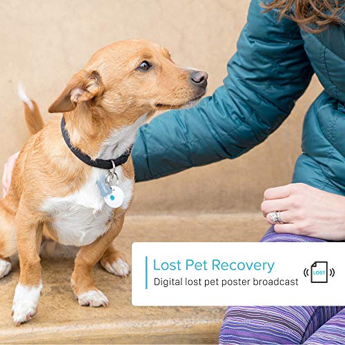 DOTT The Smart Dog Tag - Bluetooth Tracker for Dogs and Cats, Pet Finder, Virtual Leash, No Subscription (NOT A GPS Tracker) - Thumbnail 3