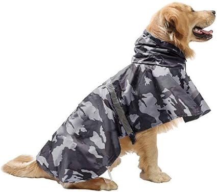 Raincoat for dog walking Outlet