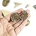 Museum Quality Fossil Collection Kit Featuring Dinosaur Fossils, Ammonites, Trilobite, Shark Tooth, Urchin and Fish Fossil - Collectors Edition Paleontology Set