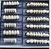 12 Sets Denture Shanghai Acrylic Resin Teeth Dental A2 Size 23