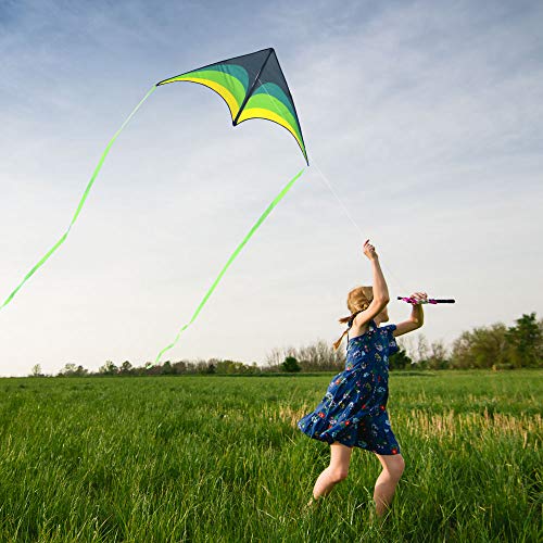 Mint's Colorful Life Delta Kite for Kids & Adults, Extremely Easy to Fly Kite with 2 Ribbons and 300ft Kite String, Best Kite for Beginners