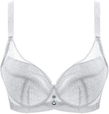 coppe di reggiseno