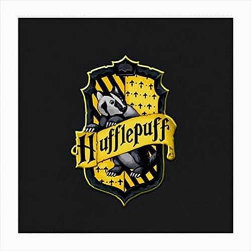 Hufflepuff Harry Potter Glasses Cloth (Medium, Two Sides)