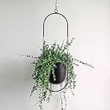 Beihaoer Metal Boho Hanging Planter for Indoor Plants - Black view 2