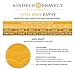 Kindred Bravely High Waist Postpartum Underwear & C-Section Recovery Maternity Panties 3 Pack (XL, Assorted)