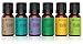 Aromatherapy Oil Gift Set by Eve Hansen - 6 10ml Essential Oils (Lavender, Peppermint, Eucalyptus, Tea Tree, Lemon, and Sandalwood)