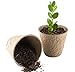 3-inch Peat Pots Pack of 50 with Sprinkler Attachment | Seed Starter Pots | 30 Free Plant Markers | Ecological Peat Pots for Seedlings | No Transplant Shock with Seedling Starter Pots
