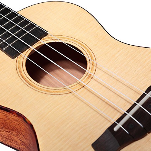 Electric Concert Ukulele With Amp 23" AcousticElectric Ukulele