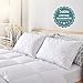 Sable Sleeping, 2 Pack Goose Down Alternative Quilted Bed Pillow, FDA Registered, Super Soft Plush Fiber Fill, Adjustable Loft, Relief for Neck Pain, Queen Size, White