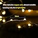 Wellgium Solar String Lights, 33ft 100LED Outdoor String Lights 8 Modes, Waterproof Decorative String Lights for Patio, Garden, Gate, Yard, Party, Wedding, Christmas (Warm White)-Pack of 2