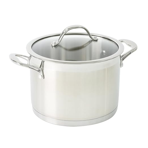 ProCook Professional Stainless Steel | Fleischtopf | mit Deckel | Edelstahl | induktionsgeeignet | 20 cm Ø | 4,4 l Volumen