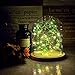 AceList Mini Cactus Cacti Copper String Light 30 LED Cute Cactus for Bedroom Party Branches Tree Lighting Decor Decoration Battery Operated