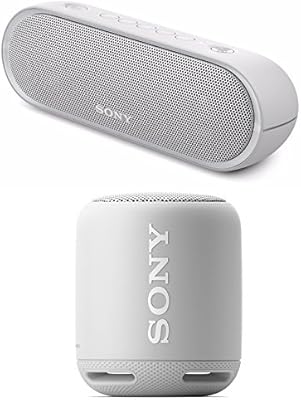 sony xb10 party chain