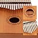 Portable kalimba 17 Keys Thumb Piano,Study Instruction and Tune Hammer,with EVA Waterproof Hard Protective Case Gift for Kids Adult Beginners Professional.
