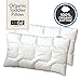 Toddler Pillow Baby Pillows - Soft Cotton Cover - Nursery Bedding Designed by Chiropractor Mom. Help Prevent Flat Head- Delicate Microfiber - Machine Wash and Dry. Small - Pillowcase - Kids Travel