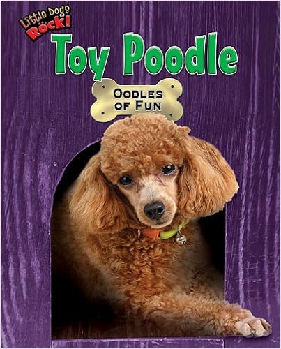 Toy Poodle: Oodles of Fun (Little Dogs Rock!)  �}����  - 2009/1/1