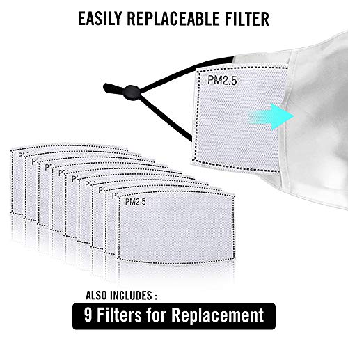 Cole Animal Print Masks With 9 PM 2.5 Filters Designer Face