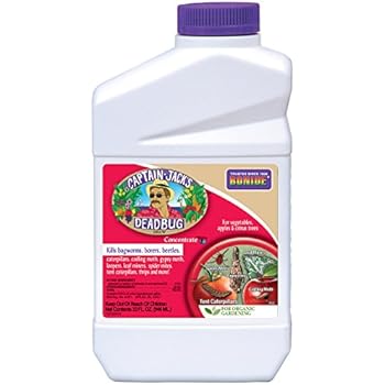 concentrate bonide oz brown pesticide insecticide bug spray pyrethrin natural brew captain jack dead fruit tree ag southern