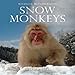Snow Monkeys (Wildlife Monographs)