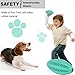 Non-Toxic Dog's Chew Toy Balls [Bite Resistant] Dog Chew and Teeth Cleaning Balls With Teeth Design for Cleaning (1 mint toy)