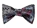 HISDERN BOW TIE SET