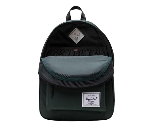 north face backpack jester The Kids' Court Backpack, Active Bl/Bold Bl, One Size Angela Pinto a padded back panel Light blue leather mini Model:CPS70ML2E