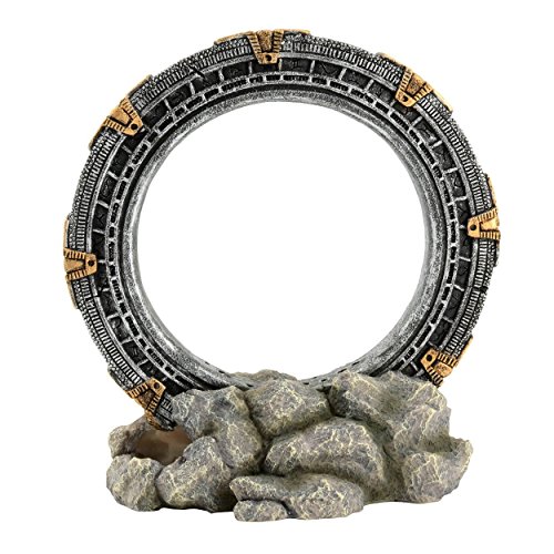 Underwater Treasures Sunken Medallion – Standard Ornament – Large