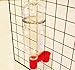 Rite Farm Products 4 Pack in 4 Colors Soda Pop Water Bottle Bird Drinker Cup & Spring Quail Dove Chicken Pigeon
