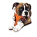 Nylabone Power Chew Axis Bone Chew Toy for Dogs, Dog Toys for Aggressive Chewers, Bacon Flavor, X-Large/Souper - 50+ lbs. (1 Count)