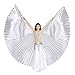 Dance Fairy Belly Dance 360 Degree Isis Wings with Portable Flexible Sticks,Silver