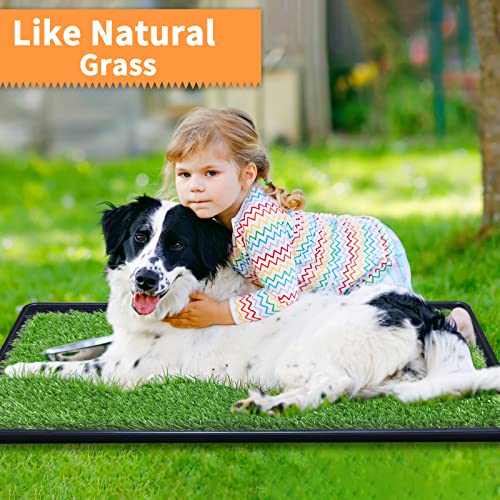 LOOBANI 35in x 23in Extra Large Grass Porch Potty Tray, 2Pack