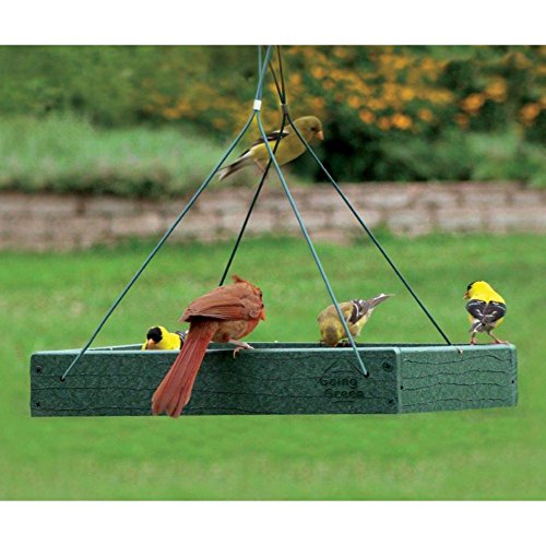 Wood Link Going Green Platform Feeder