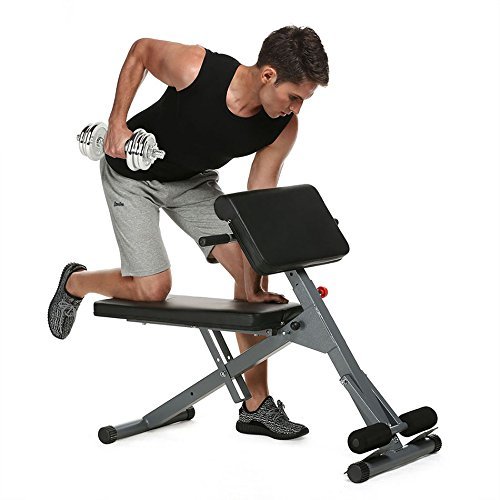 Fitness Abdominal Back Extension Bench Roman Chair, Adjustable  Multi-Workout Stamina Pro Ab Core Strength Hyper Bench