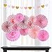 Pink Hanging Paper Fans Round Folding Heart Banner Rosettes Party Supplies Photo Props for Valentines Day Wedding Birthday Baby Shower Wall Decor Party Decorations (Pink)